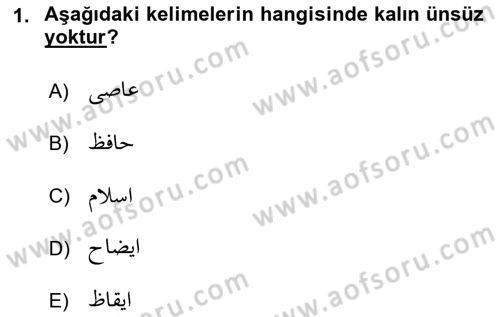 Osmanlı Türkçesi 1 Dersi 2022 - 2023 Yılı Yaz Okulu Sınav Soruları 1. Soru