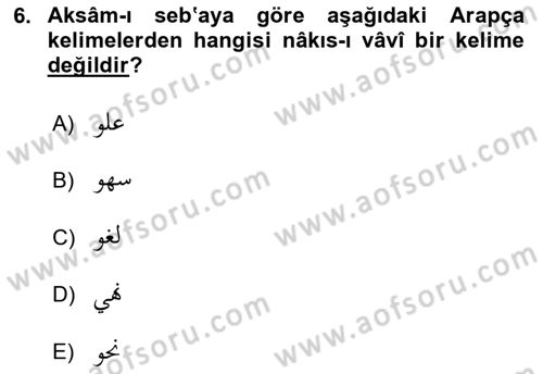 Osmanlı Türkçesi 1 Dersi 2022 - 2023 Yılı Yaz Okulu Sınav Soruları 6. Soru