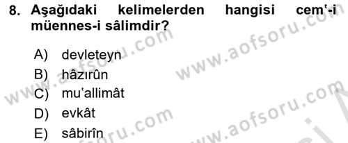 Osmanlı Türkçesi 1 Dersi 2022 - 2023 Yılı Yaz Okulu Sınavı 8. Soru