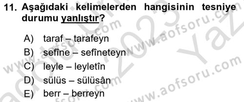 Osmanlı Türkçesi 1 Dersi 2023 - 2024 Yılı Yaz Okulu Sınavı 11. Soru