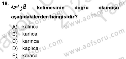 Osmanlı Türkçesi 1 Dersi 2023 - 2024 Yılı Yaz Okulu Sınavı 18. Soru