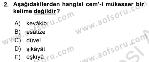 Osmanlı Türkçesi 1 Dersi 2023 - 2024 Yılı Yaz Okulu Sınavı 2. Soru