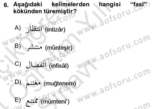 Osmanlı Türkçesi 1 Dersi 2023 - 2024 Yılı Yaz Okulu Sınavı 6. Soru