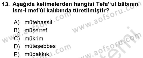 Osmanlı Türkçesi 1 Dersi 2024 - 2025 Yılı (Final) Dönem Sonu Sınav Soruları 13. Soru