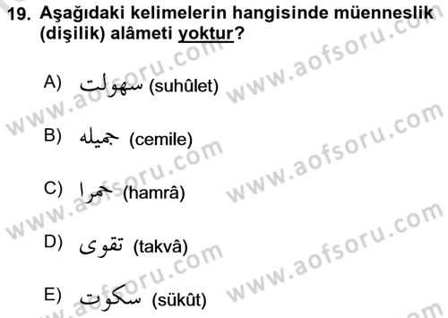 Osmanlı Türkçesi 1 Dersi 2024 - 2025 Yılı (Final) Dönem Sonu Sınav Soruları 19. Soru