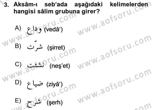 Osmanlı Türkçesi 1 Dersi 2024 - 2025 Yılı (Final) Dönem Sonu Sınav Soruları 3. Soru