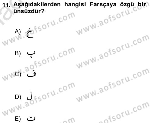 Osmanlı Türkçesi 1 Dersi 2024 - 2025 Yılı Yaz Okulu Sınav Soruları 11. Soru