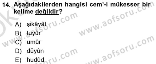 Osmanlı Türkçesi 1 Dersi 2024 - 2025 Yılı Yaz Okulu Sınav Soruları 14. Soru