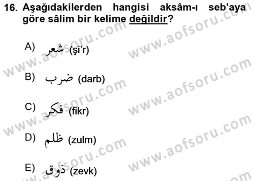 Osmanlı Türkçesi 1 Dersi 2024 - 2025 Yılı Yaz Okulu Sınav Soruları 16. Soru