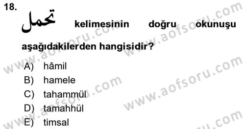 Osmanlı Türkçesi 1 Dersi 2024 - 2025 Yılı Yaz Okulu Sınav Soruları 18. Soru