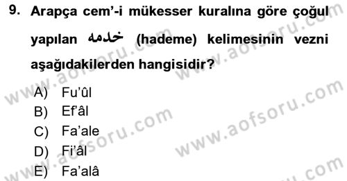 Osmanlı Türkçesi 1 Dersi 2024 - 2025 Yılı Yaz Okulu Sınav Soruları 9. Soru