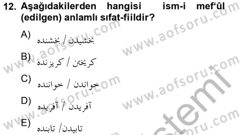 Osmanlı Türkçesi 2 Dersi 2012 - 2013 Yılı (Final) Dönem Sonu Sınav Soruları 12. Soru