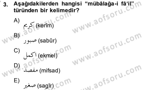 Osmanlı Türkçesi 2 Dersi 2013 - 2014 Yılı (Final) Dönem Sonu Sınav Soruları 3. Soru
