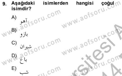 Osmanlı Türkçesi 2 Dersi 2013 - 2014 Yılı (Final) Dönem Sonu Sınav Soruları 9. Soru