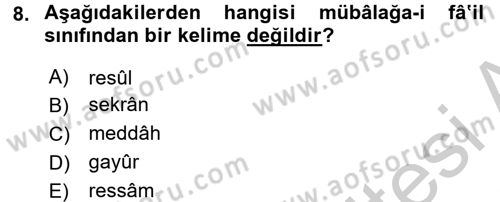 Osmanlı Türkçesi 2 Dersi 2016 - 2017 Yılı (Vize) Ara Sınav Soruları 8. Soru
