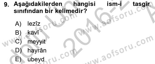 Osmanlı Türkçesi 2 Dersi 2016 - 2017 Yılı (Vize) Ara Sınav Soruları 9. Soru