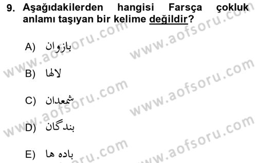 Osmanlı Türkçesi 2 Dersi 2018 - 2019 Yılı Yaz Okulu Sınav Soruları 9. Soru