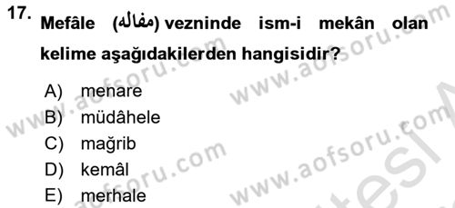 Osmanlı Türkçesi 2 Dersi 2021 - 2022 Yılı Yaz Okulu Sınav Soruları 17. Soru