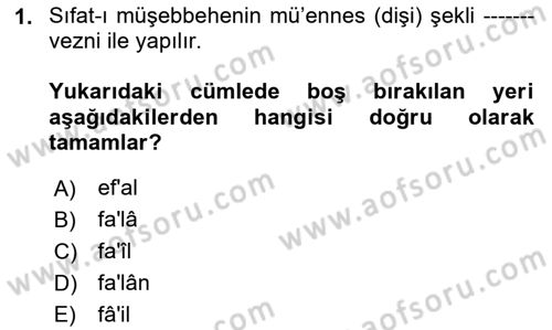Osmanlı Türkçesi 2 Dersi 2023 - 2024 Yılı (Vize) Ara Sınav Soruları 1. Soru