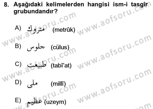 Osmanlı Türkçesi 2 Dersi 2023 - 2024 Yılı (Vize) Ara Sınav Soruları 8. Soru