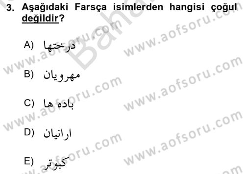 Osmanlı Türkçesi 2 Dersi 2023 - 2024 Yılı (Final) Dönem Sonu Sınav Soruları 3. Soru