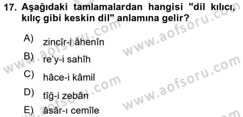 Osmanlı Türkçesi 2 Dersi 2024 - 2025 Yılı (Final) Dönem Sonu Sınav Soruları 17. Soru