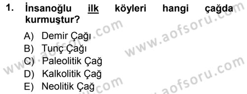 Uygarlık Tarihi 1 Dersi 2012 - 2013 Yılı (Vize) Ara Sınav Soruları 1. Soru