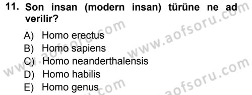 Uygarlık Tarihi 1 Dersi 2012 - 2013 Yılı (Vize) Ara Sınav Soruları 11. Soru