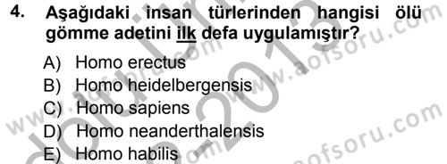 Uygarlık Tarihi 1 Dersi 2012 - 2013 Yılı (Vize) Ara Sınav Soruları 4. Soru