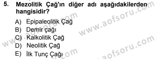Uygarlık Tarihi 1 Dersi 2012 - 2013 Yılı (Vize) Ara Sınav Soruları 5. Soru