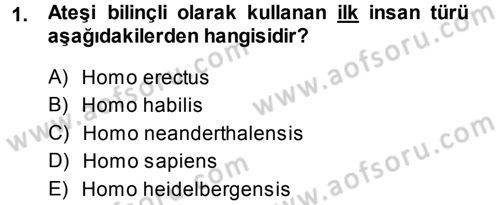 Uygarlık Tarihi 1 Dersi 2013 - 2014 Yılı (Vize) Ara Sınav Soruları 1. Soru