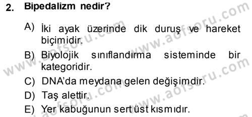 Uygarlık Tarihi 1 Dersi 2013 - 2014 Yılı (Vize) Ara Sınav Soruları 2. Soru