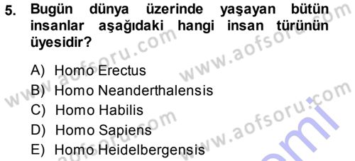 Uygarlık Tarihi 1 Dersi 2013 - 2014 Yılı (Vize) Ara Sınav Soruları 5. Soru