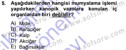 Uygarlık Tarihi 1 Dersi 2013 - 2014 Yılı (Final) Dönem Sonu Sınav Soruları 5. Soru