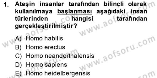 Uygarlık Tarihi 1 Dersi 2013 - 2014 Yılı Tek Ders Sınav Soruları 1. Soru