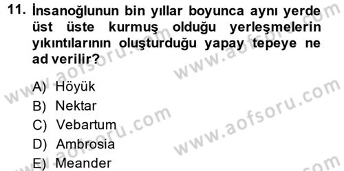 Uygarlık Tarihi 1 Dersi 2013 - 2014 Yılı Tek Ders Sınav Soruları 11. Soru