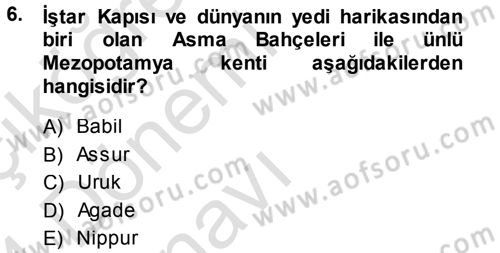 Uygarlık Tarihi 1 Dersi 2013 - 2014 Yılı Tek Ders Sınav Soruları 6. Soru