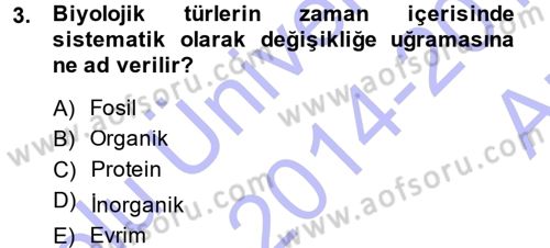 Uygarlık Tarihi 1 Dersi 2014 - 2015 Yılı (Vize) Ara Sınav Soruları 3. Soru