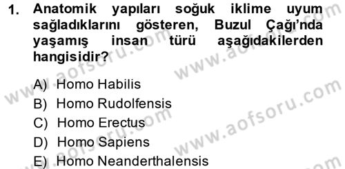 Uygarlık Tarihi 1 Dersi 2014 - 2015 Yılı (Final) Dönem Sonu Sınav Soruları 1. Soru