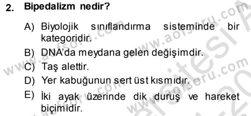 Uygarlık Tarihi 1 Dersi 2014 - 2015 Yılı Tek Ders Sınav Soruları 2. Soru