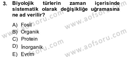 Uygarlık Tarihi 1 Dersi 2014 - 2015 Yılı Tek Ders Sınav Soruları 3. Soru
