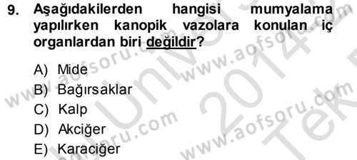 Uygarlık Tarihi 1 Dersi 2014 - 2015 Yılı Tek Ders Sınav Soruları 9. Soru