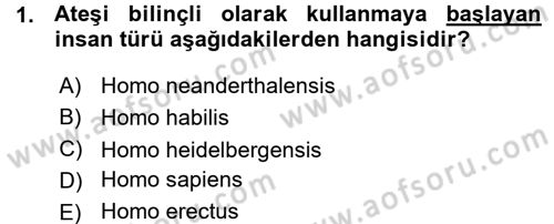 Uygarlık Tarihi 1 Dersi 2015 - 2016 Yılı (Vize) Ara Sınav Soruları 1. Soru