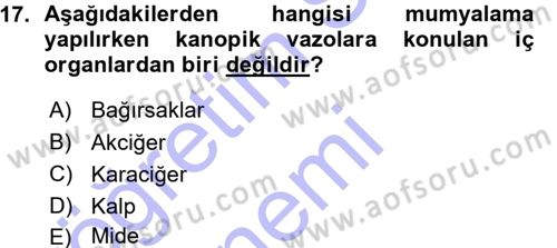 Uygarlık Tarihi 1 Dersi 2015 - 2016 Yılı (Vize) Ara Sınav Soruları 17. Soru