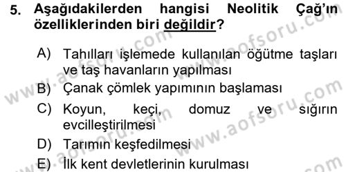Uygarlık Tarihi 1 Dersi 2015 - 2016 Yılı (Vize) Ara Sınav Soruları 5. Soru
