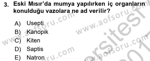 Uygarlık Tarihi 1 Dersi 2016 - 2017 Yılı 3 Ders Sınav Soruları 3. Soru