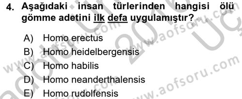 Uygarlık Tarihi 1 Dersi 2016 - 2017 Yılı 3 Ders Sınav Soruları 4. Soru
