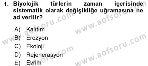 Uygarlık Tarihi 1 Dersi 2016 - 2017 Yılı (Vize) Ara Sınav Soruları 1. Soru