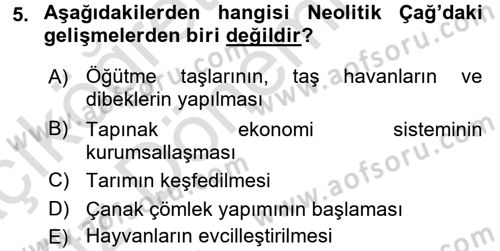 Uygarlık Tarihi 1 Dersi 2016 - 2017 Yılı (Vize) Ara Sınav Soruları 5. Soru