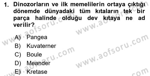 Uygarlık Tarihi 1 Dersi 2018 - 2019 Yılı (Vize) Ara Sınav Soruları 1. Soru